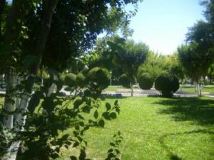 حديقة حي 600 مسكن بمدينة  سطيف