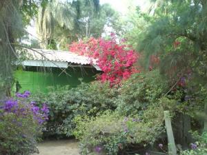 SONATRACH  Base du 24 Fevrier  (Ouargla)