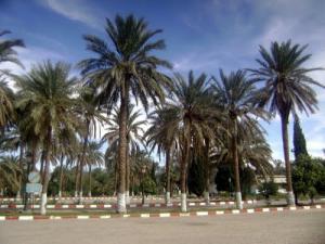 Centre ville de Wergla