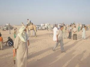 Course de Méharées à Rouissat