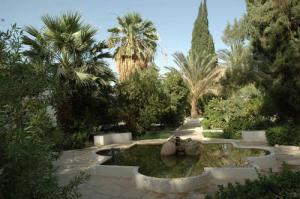 Un Jardin au centre de l'Institut de Pétrole Algérien