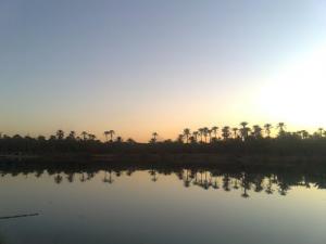 Une Palmeraie de Touggourt