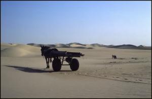 Sur la route d'El Qued en direction de  Touggourt