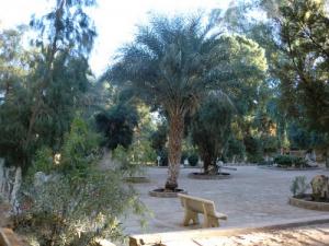 SONATRACH  Base 24 Fevrier  (Ourgla)