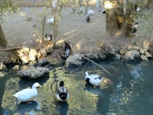 SONATRACH Base 24 Fevrier  (Le ZOO)