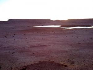 Paysage de Ouargla