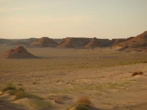 Paysage Saharien de Ouargla