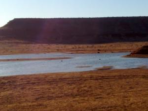 Retenue d'eau aux environs de Ouargla