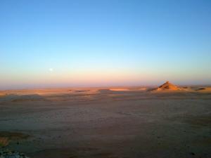 Panorama sur Ouargla