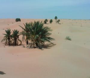 Paysage de la région de Lakkaz (Wilaya de Ouargla)