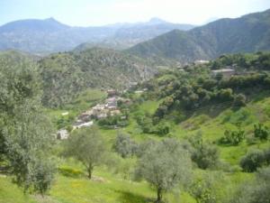 صورة لقرية  أيت قبيلة  ببلدية  المروج