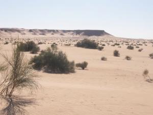 Paysage de la région de  Garet Bourouba