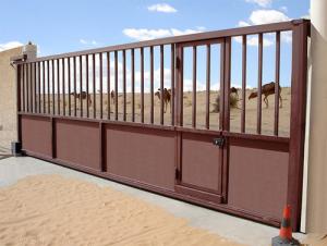 Enclos de Dromadaires aux alentours de Ouergla