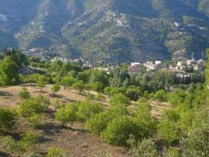 منظر من ضواحي قرية 