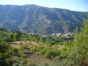 منظر من ضواحي قرية 