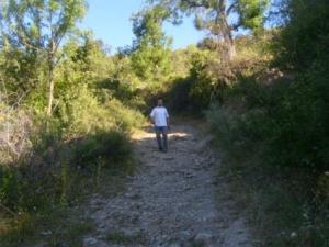 منظر من ضواحي قرية 