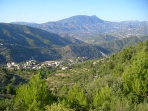 صورة من ضواحي مدينة 