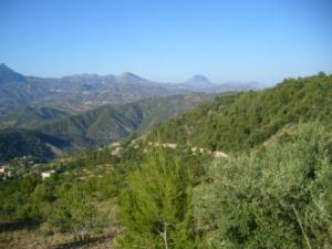 صورة من ضواحي مدينة 