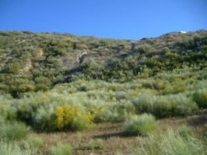 صورة من ضواحي مدينة 