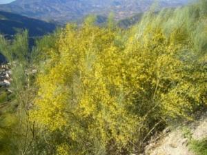 صورة من ضواحي مدينة 