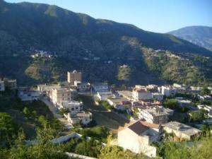 صورة من ضواحي مدينة 