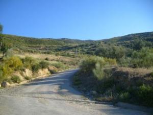 صورة من ضواحي مدينة 