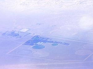 Agriculture en plein désert (Wilaya de Ouargla)