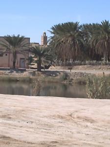 Aux abords de la ville de Temacine (Commune de Touggourt)