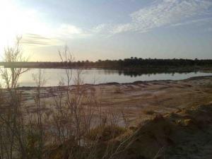 Touggourt la belle Oasis