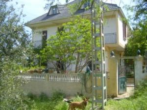 مباني مدينة  المروج  1