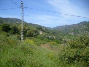 منظر من ضواحي  المروج  3