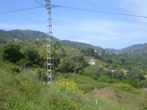 منظر من ضواحي  المروج  4