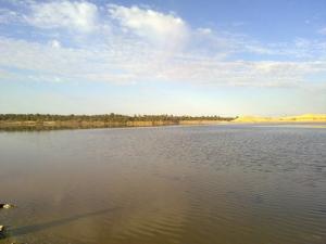 Lac MERJAJA à Touggourt (Wilaya de Ourgla)