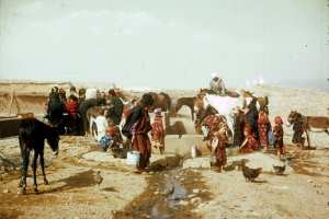 سكان منطقة الشاوية في الإستعمارية (1)