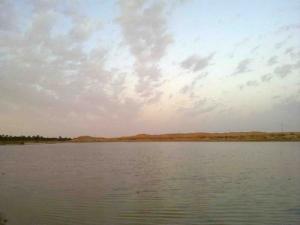 Paysage de Touggourt