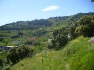 حلول الربيع على بلدية  المروج