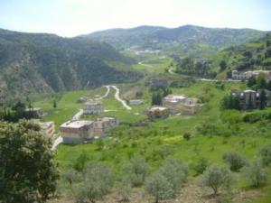 حلول الربيع على بلدية  المروج  7