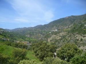 حلول الربيع على بلدية  المروج  8