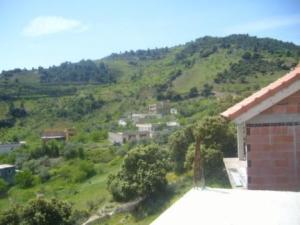 صورة من ضواحي بلدية  المروج  1