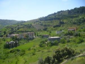 صورة من ضواحي بلدية  المروج  2