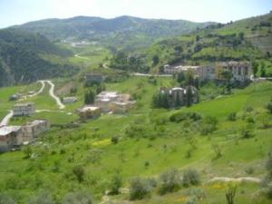 صورة من ضواحي بلدية  المروج  3