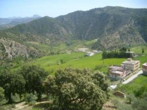 صورة من ضواحي بلدية  المروج  5