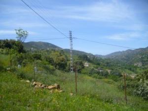 صورة من ضواحي بلدية  المروج  7