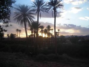 واحات مدينة  تيوت  1