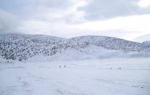 تهاطل الثلوج بضواحي  يابوس  (ولاية خنشلة) 1