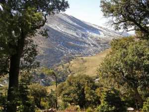 منظر من جبل  شيلية   (بلدية يابوس) 1