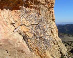 صورة من أعالي جبل  شيلية