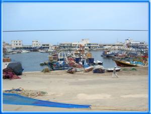 Le Port de la Pêcherie d'Oran