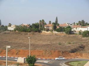 Un Rond Point à Oran