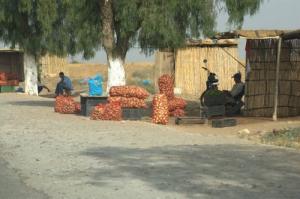 Vendeurs de pommes de terre au bord de la route